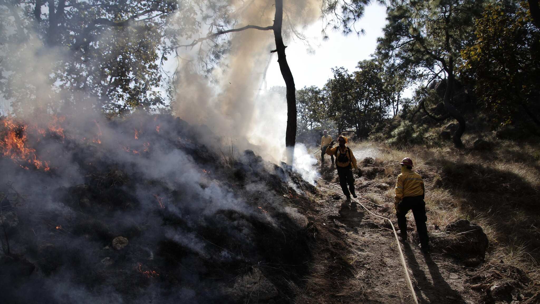 Dos aeronaves trabajan para sofocar las llamas en el Bosque de La Primavera.