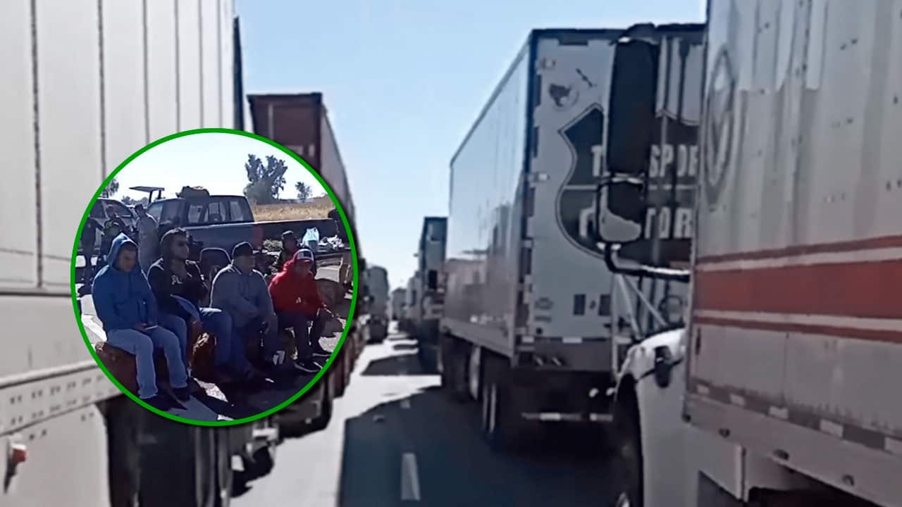 Guanajuato hace parte de la problemática de la desvalorización del maíz y del trabajo de campo en general.