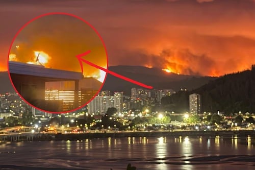 Emergencia por incendios forestales: al menos 16 personas mueren en Chile (video)