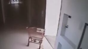Fantasma en un supermercado durante la pandemia causa revuelo en TikTok