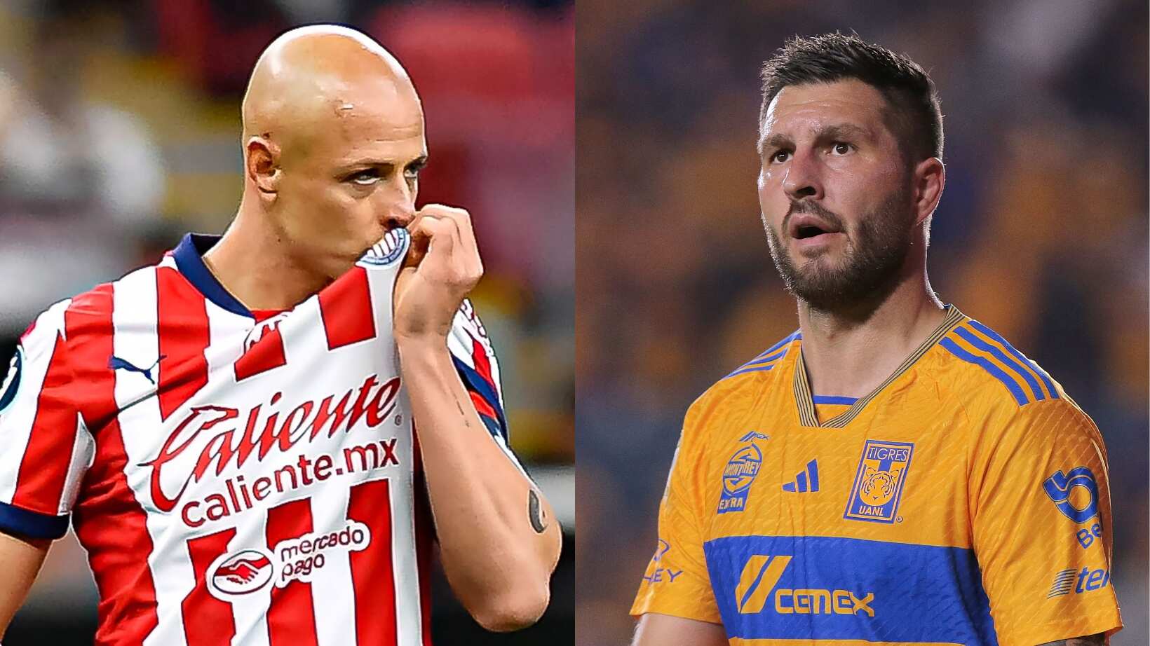 Chicharito Hernández recibió elogios de Gignac.