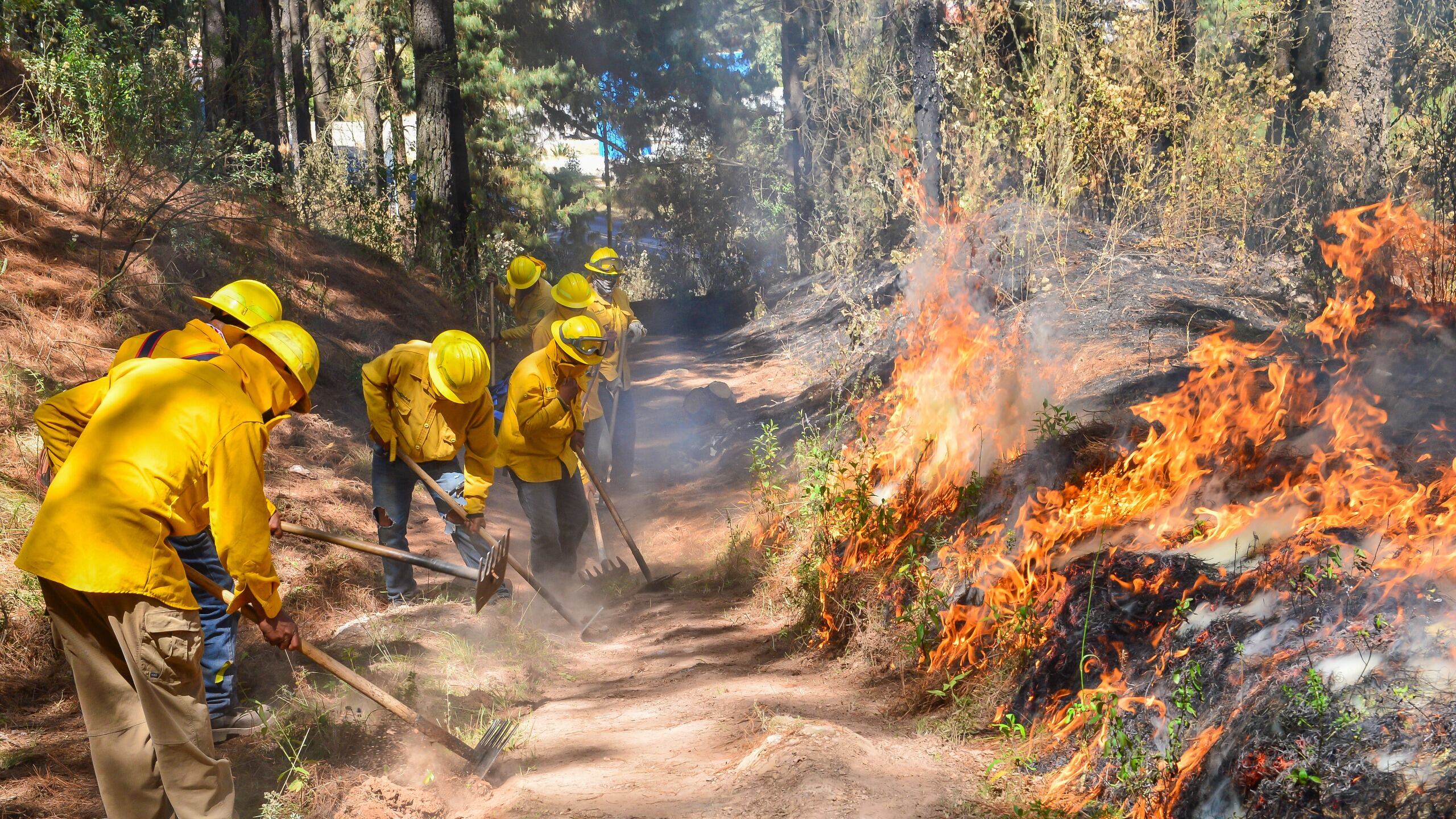 Estado de México castigará hasta con 10 años de cárcel a quien provoque incendios forestares