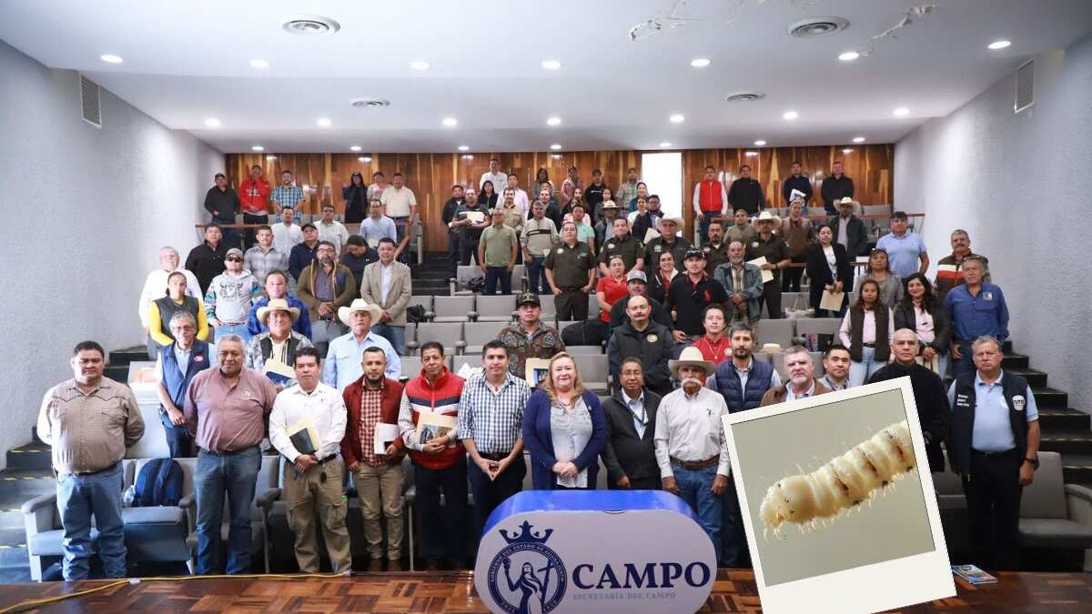 El reto para la salud del ganado en Guanajuato.