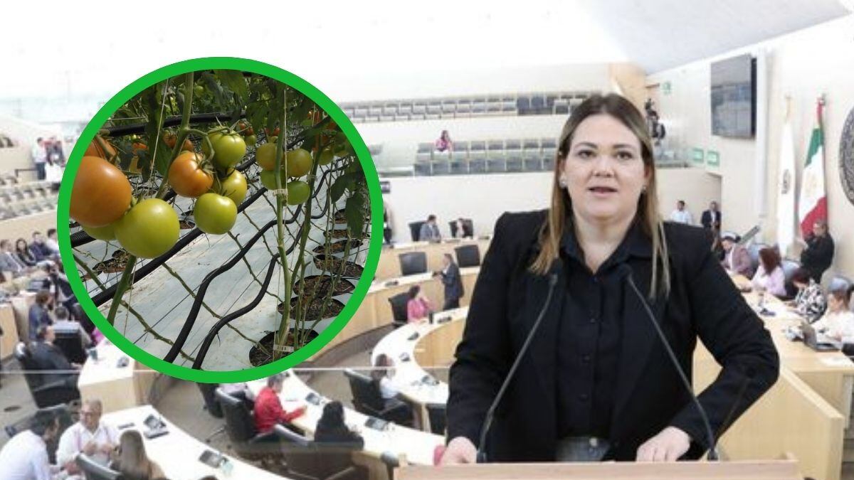 La nueva reforma agrícola en Guanajuato busca mejorar la rentabilidad del sector y garantizar un uso sustentable de los recursos naturales.