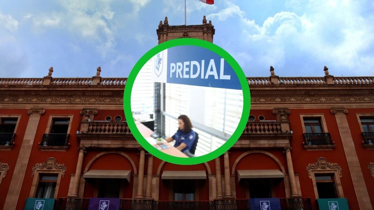 La repartición de estados de cuenta continuará hasta el 15 de enero.