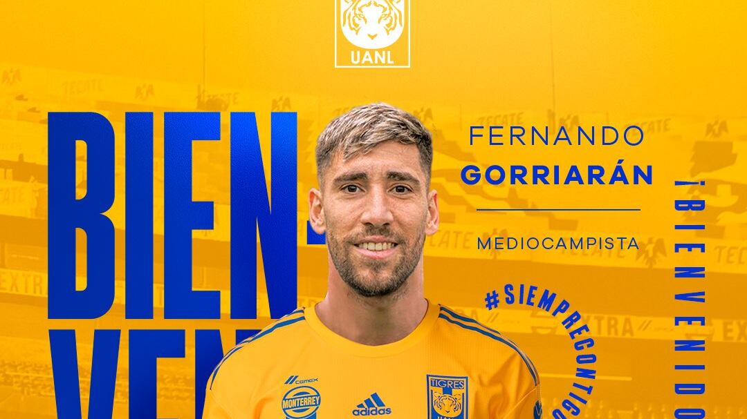 Fernando Gorriarán Tigres