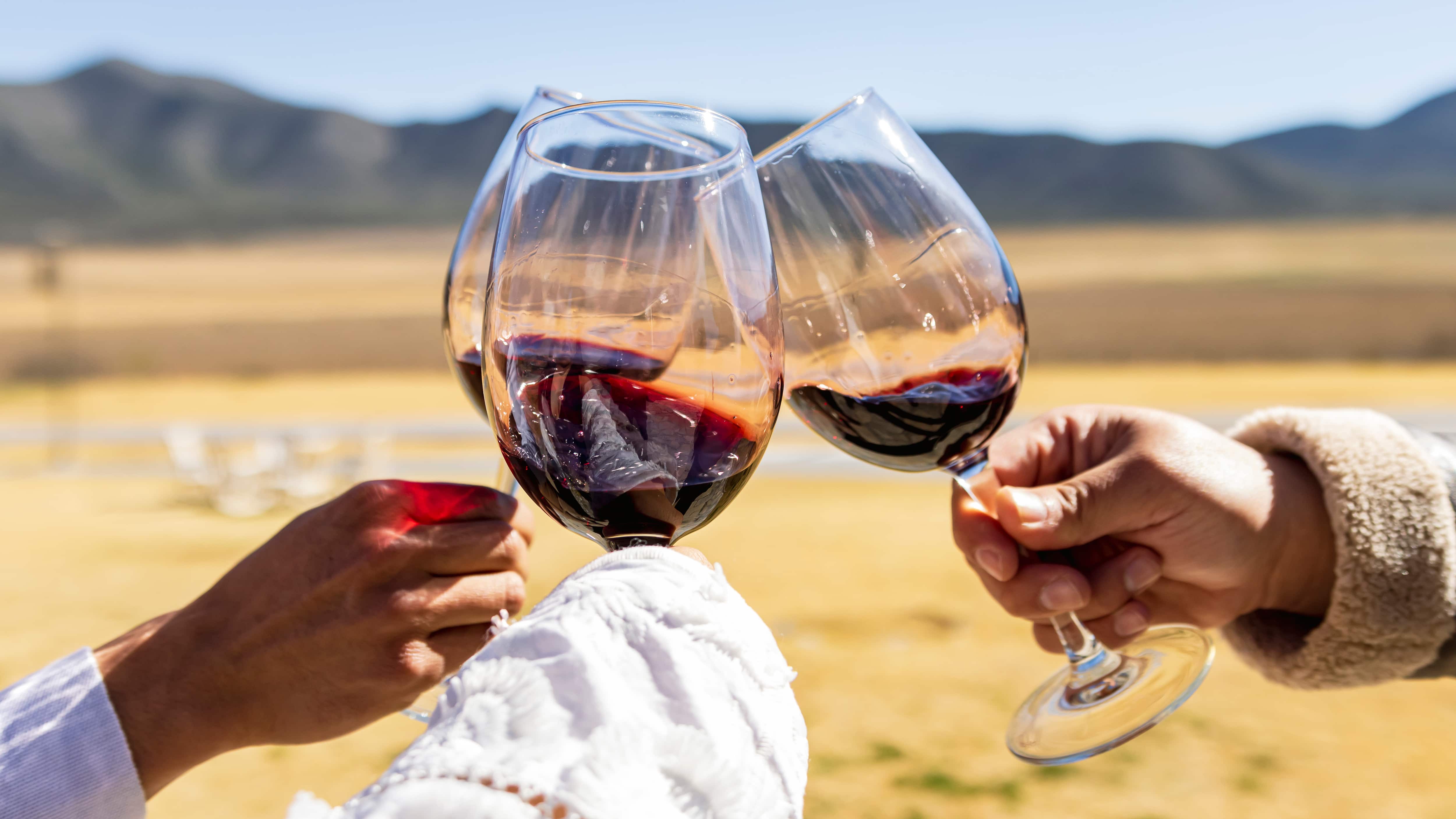 Casa Madero, Don Leo, la Ruta Vinos y Dinos, su gastronomía típica y más de 40 opciones de hospedaje consolidan a este Pueblo Mágico como un imperdible para amantes del vino y la cultura