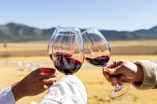 Parras te invita a descubrir su historia, vinos y experiencias únicas