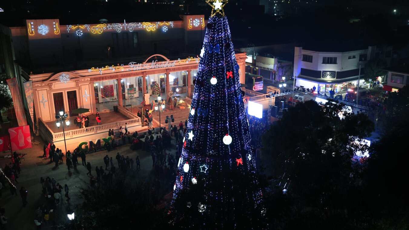 El pino gigante en Guadalupe es la principal atracción.
