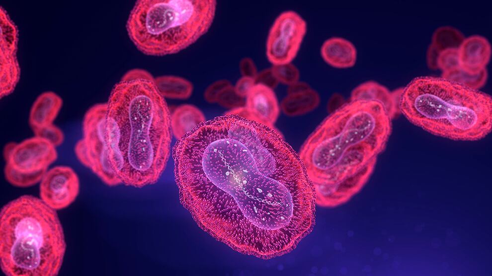 Virus Mpox