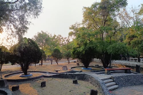 Alistan consulta pública para decretar Parque Alcanfores como ANP