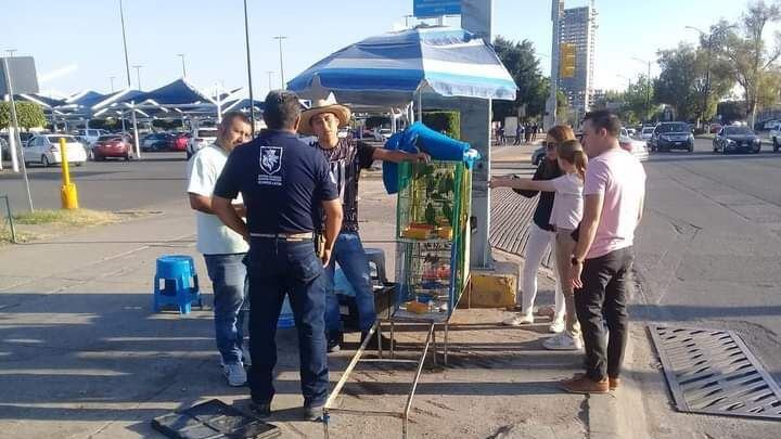 Operativos contra venta ilegal y maltrato animal se intensificará en León.