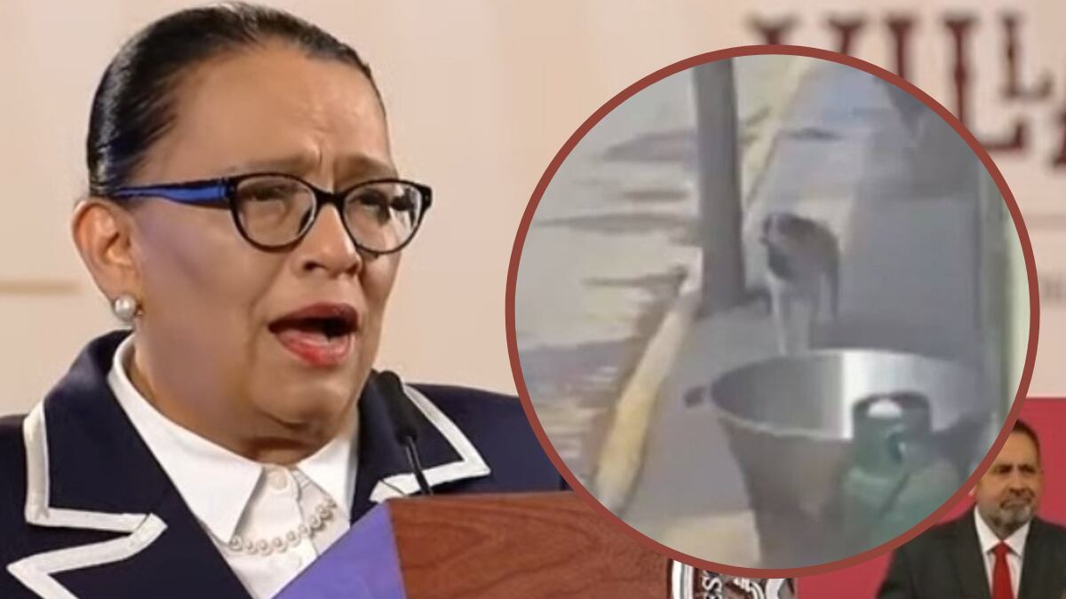 La secretaria de Seguridad y Protección Ciudadana habló del caso ocurrido en Tecámac, Estado de México, donde un hombre arrojó a un perrito en un cazo con aceite hirviendo.