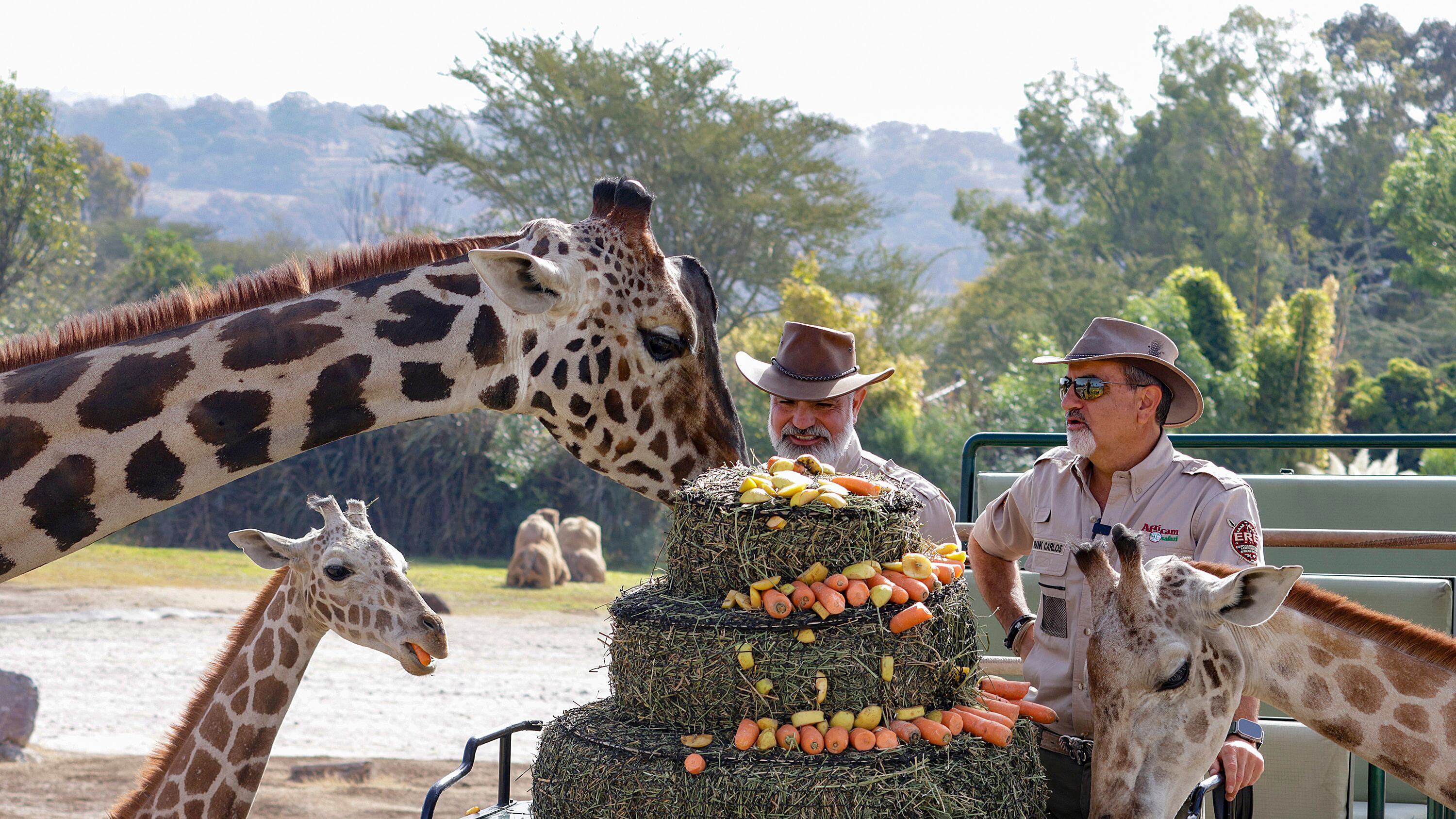 Sergio Cervantes/Agencia Enfoque