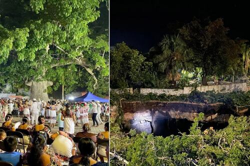 ¡Desaparece un árbol sagrado en Yucatán! Socavón se traga una Ceiba de 200 años