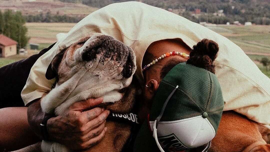 Lewis Hamilton sufrió la muerte de Roscoe.
