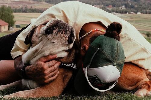 Lewis Hamilton de luto tras sufrir la muerte de Roscoe: Así fue su desgarrador adiós