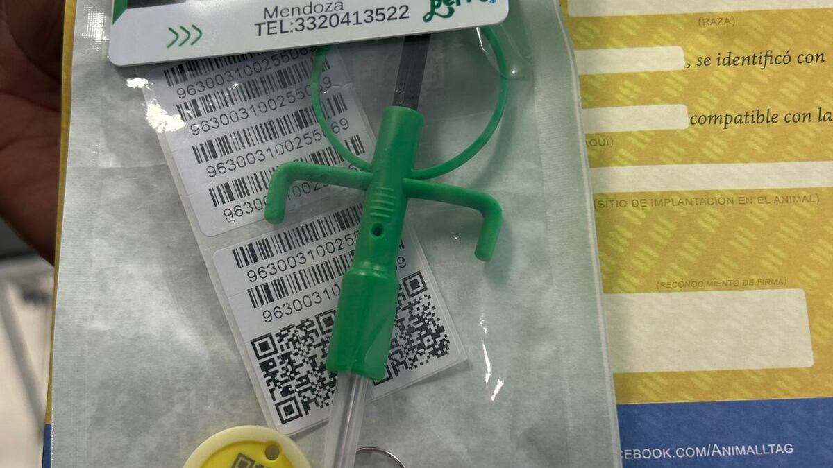 El Gobierno de Zapopan presentó programa de registro de mascotas mediante la implementación de chips electrónicos, con el objetivo de prevenir el abandono, facilitar la identificación en casos de robo o extravío y fomentar una cultura de responsabilidad entre los propietarios.