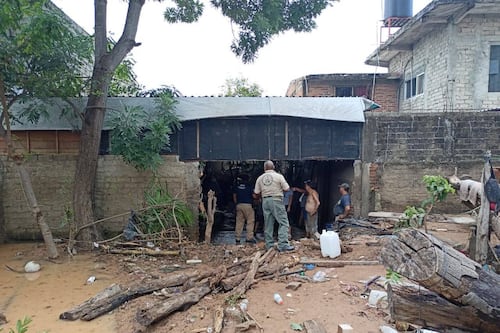 Lemus entregará apoyos este jueves en Vallarta; 60% de las casas ya fueron limpiadas