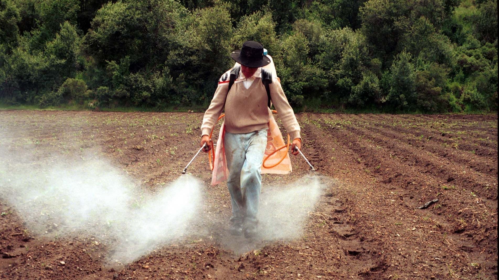 Urgen al Senado a posicionarse en contra de prohibición de plaguicidas y herbicidas. Ilustrativa.