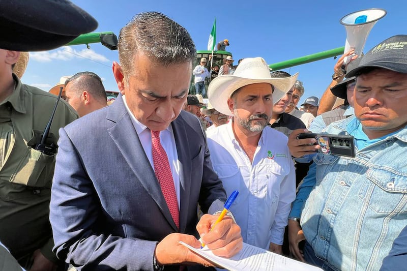 CORTESÍA