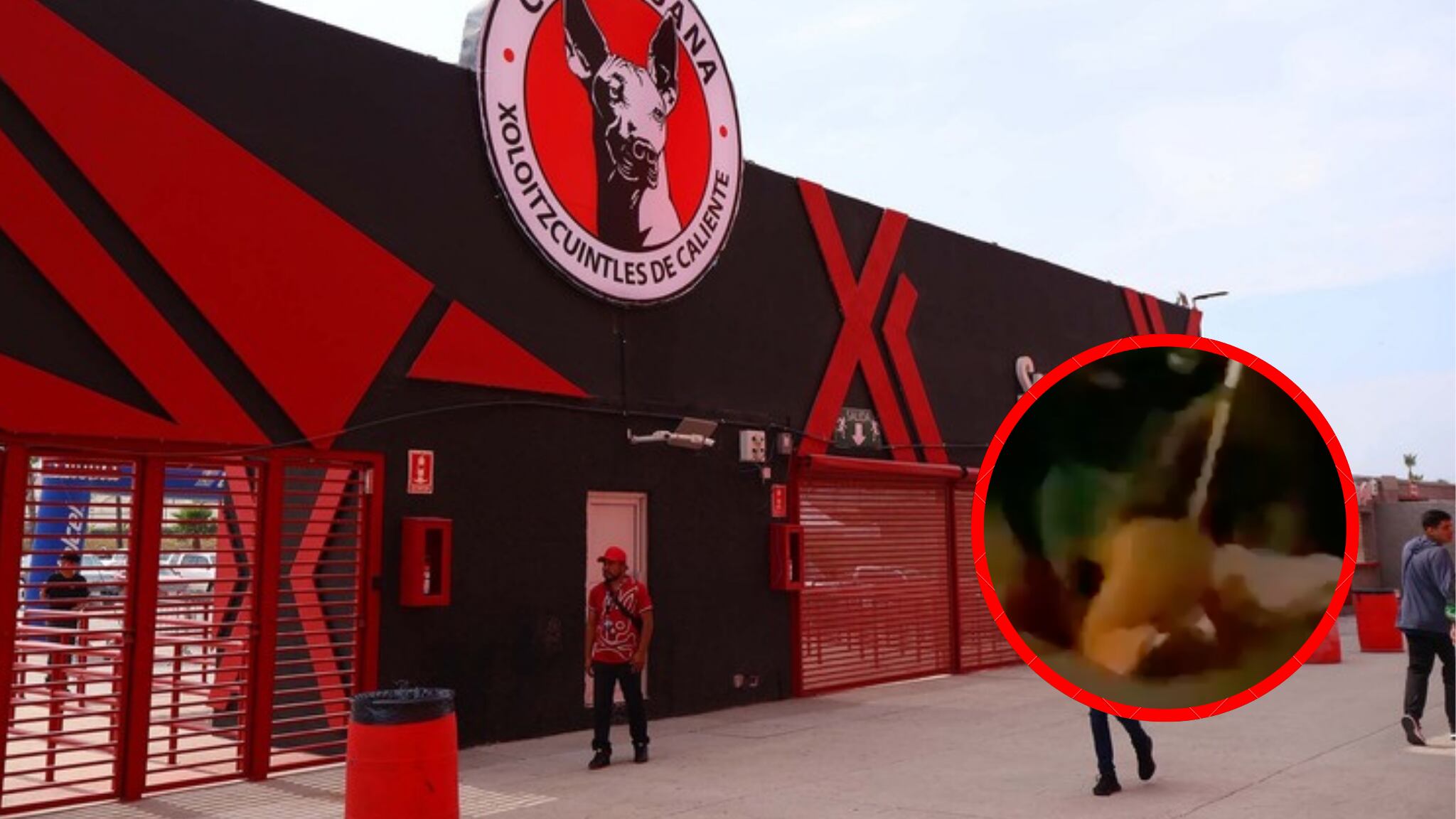 Aficionado Xolos