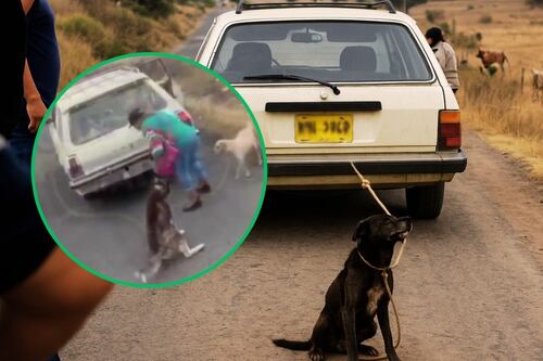 Perrito es atado y arrastrado por un auto en Hidalgo; testigos graban, pero no lo rescatan