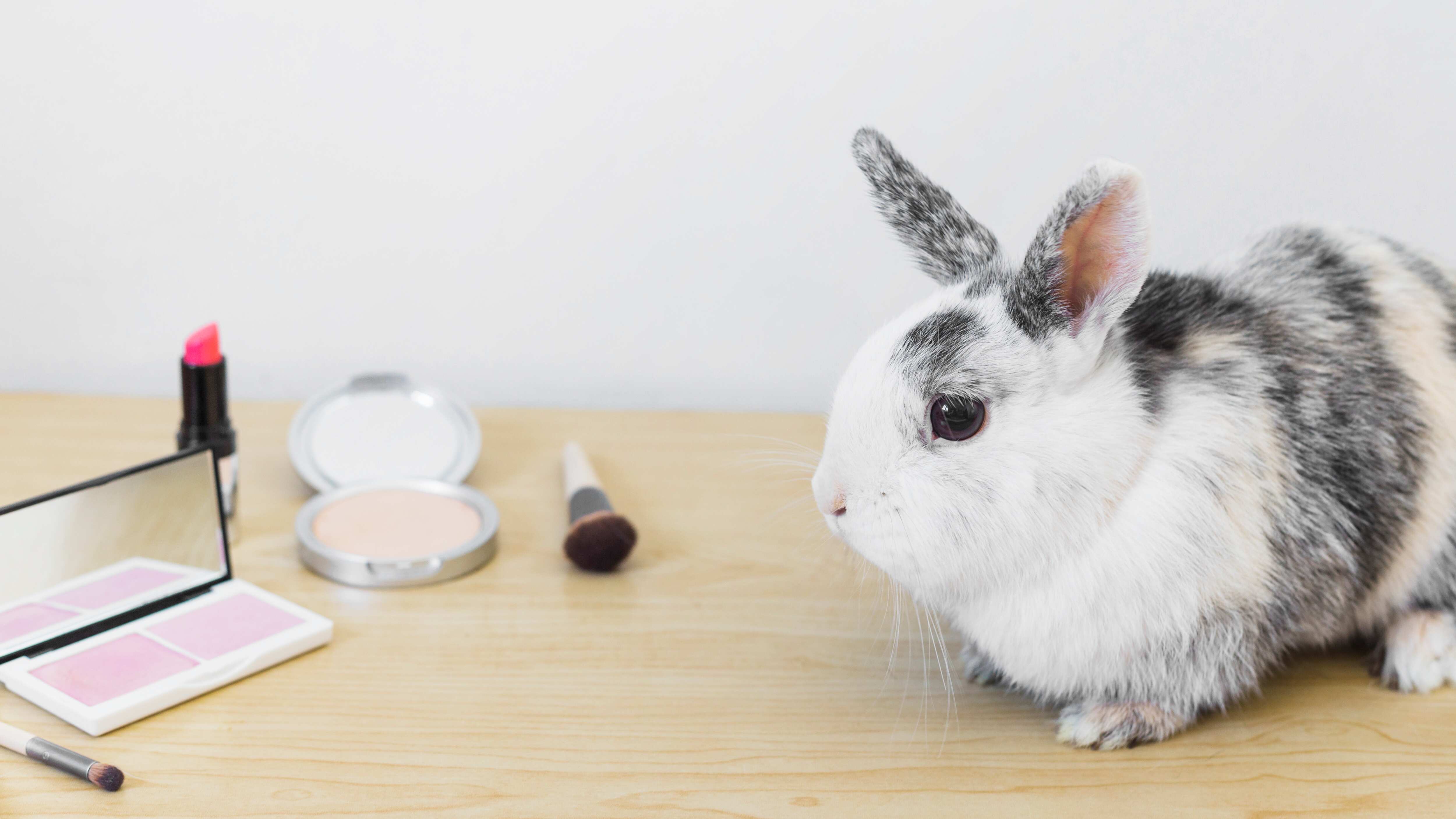 Cuidar tu piel sin dañar a los animales es posible y cada vez más fácil. Te contamos los beneficios de elegir dichos productos y cómo integrarlos a tu rutina