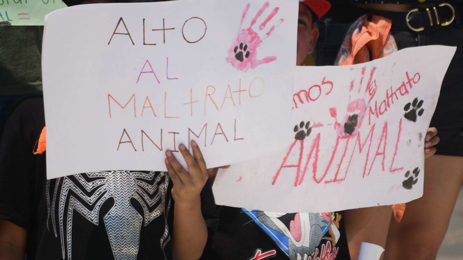 Rescatistas y organizaciones buscan detener el maltrato animal (Cuartoscuro).