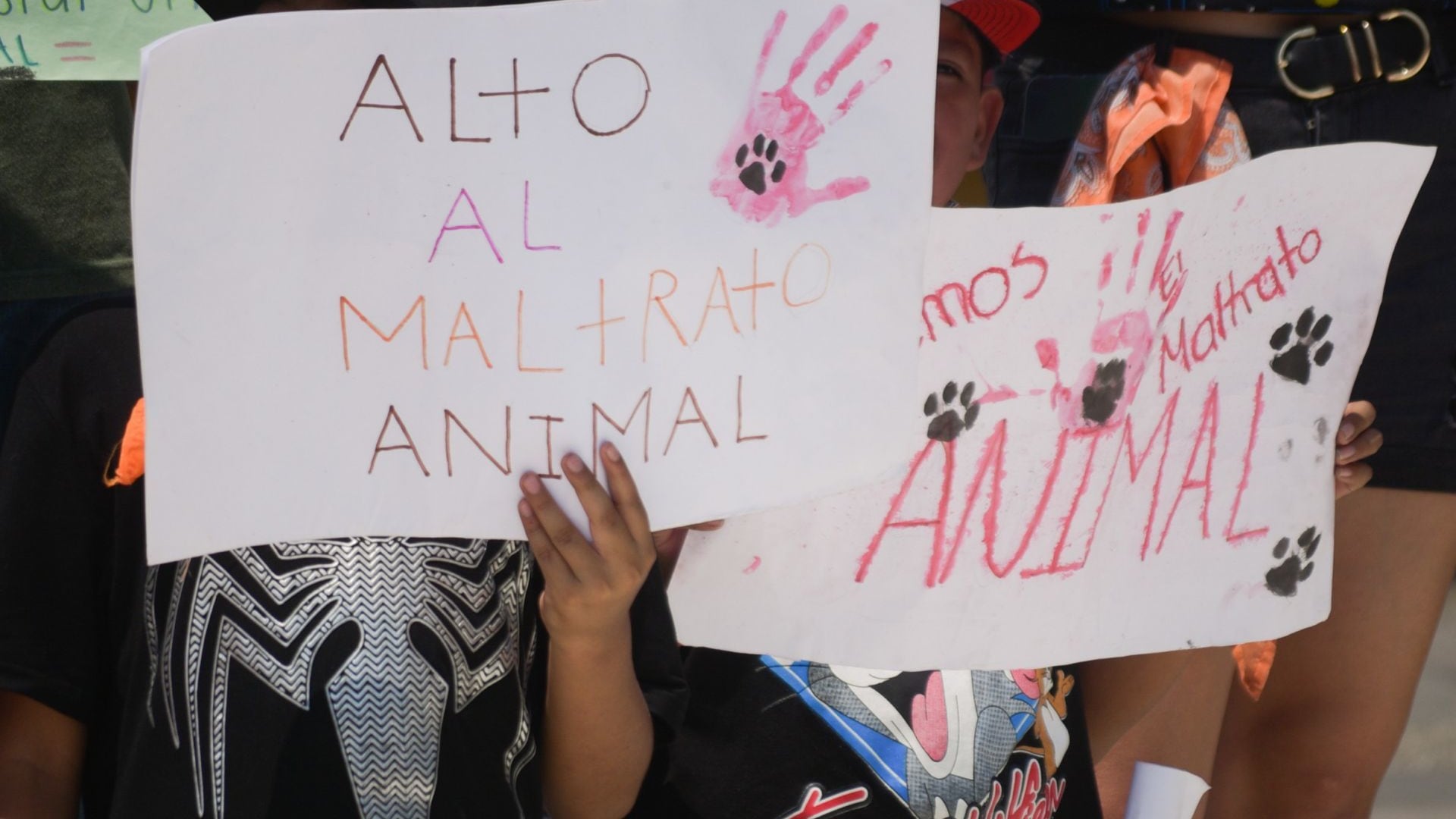 Rescatistas y organizaciones buscan detener el maltrato animal (Cuartoscuro).
