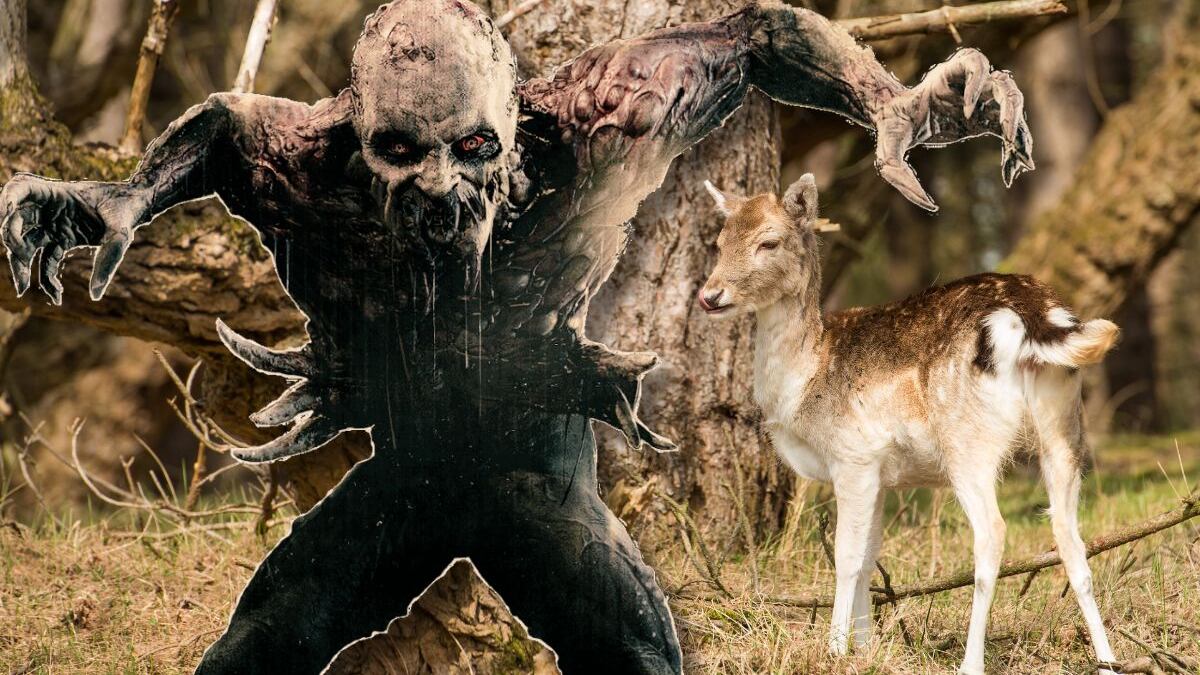 ¿Qué es la enfermedad del ciervo zombi y cuál es el riesgo para los huamanos?