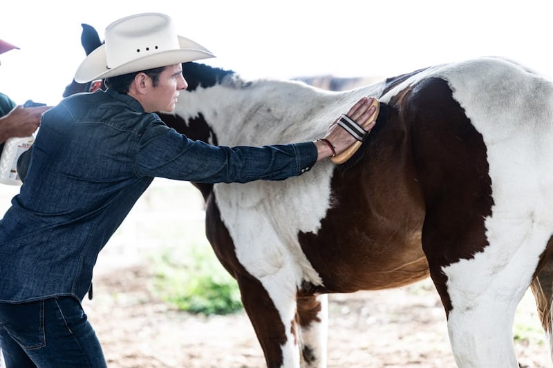 Mike Flores crea santuario para caballos rescatados que busca convertirse en el más grande de Latinoamérica
