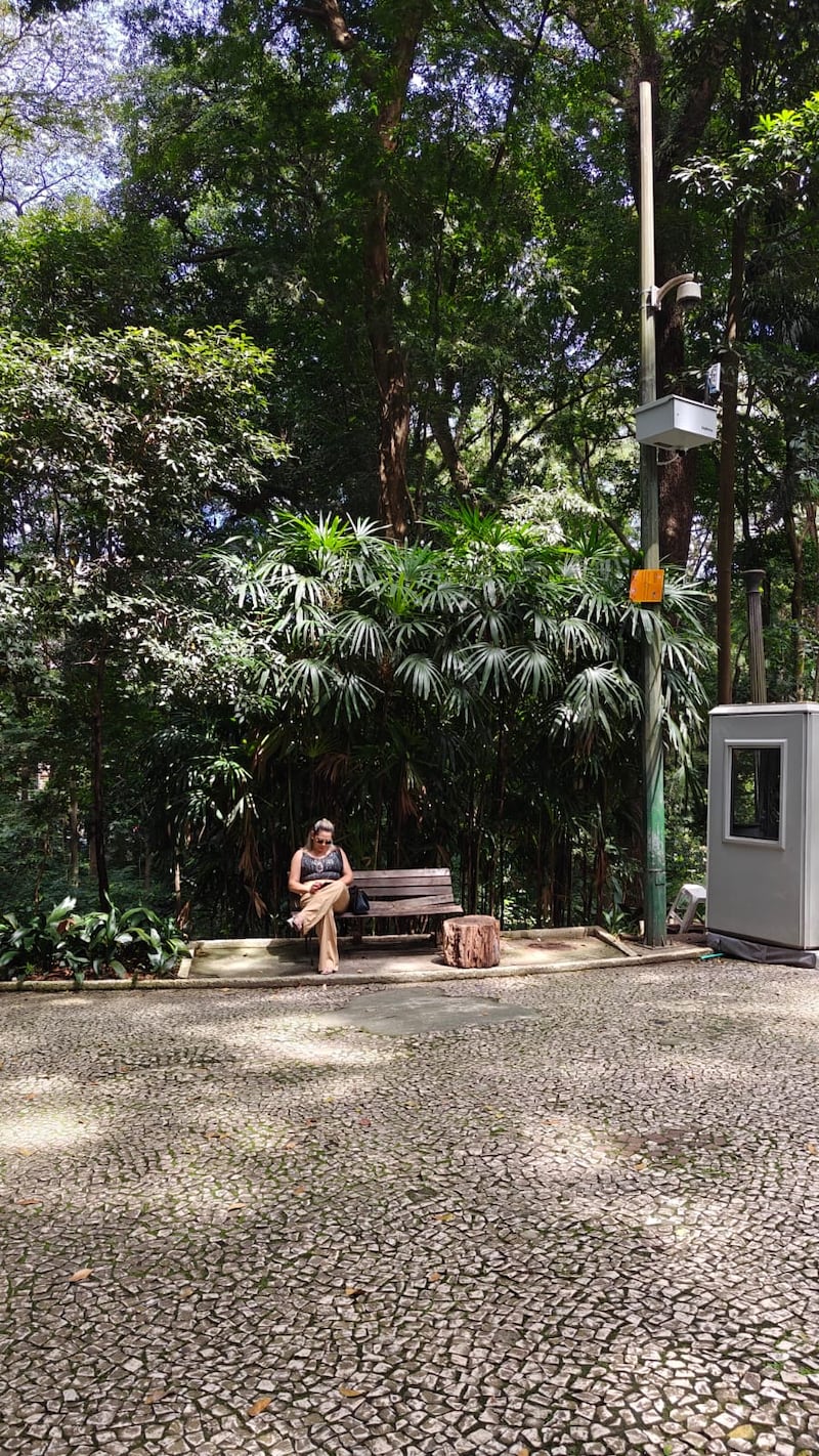 Cultura, fútbol, mercados y una energía vibrante hacen de São Paulo un destino que conecta de inmediato con los mexicanos. Conoce los lugares que hacen de esta metrópoli un viaje imperdible