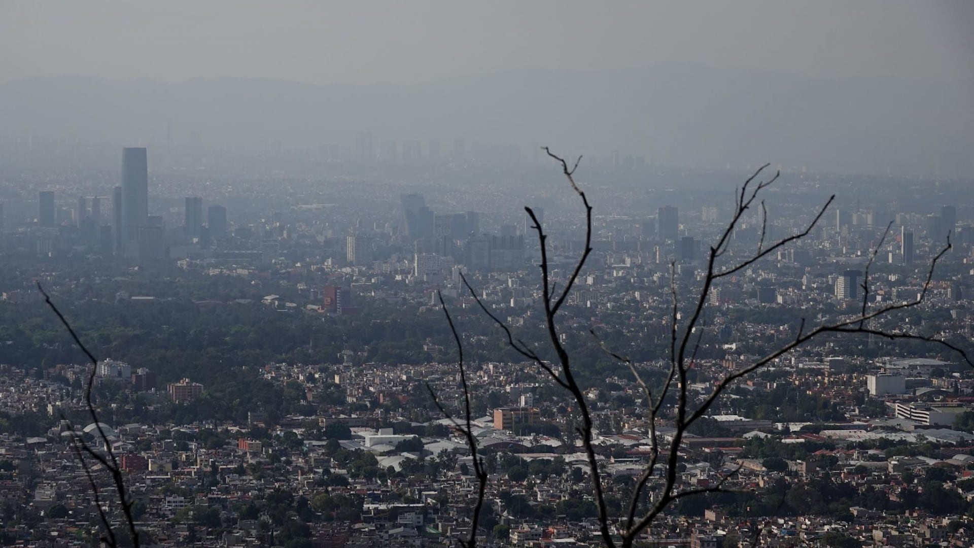 Contingencia ambiental regional en la CDMX 1 de enero 2024