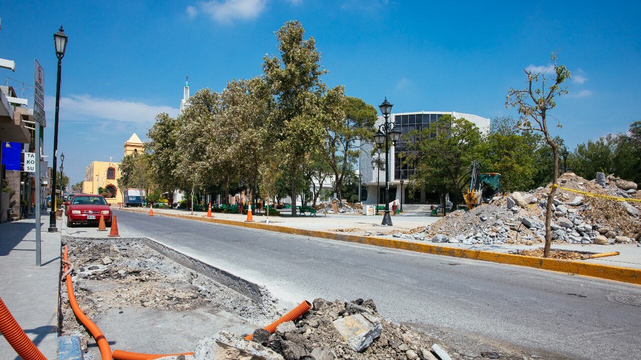 En la Explanada del Teatro García se plantarán árboles como olmos.