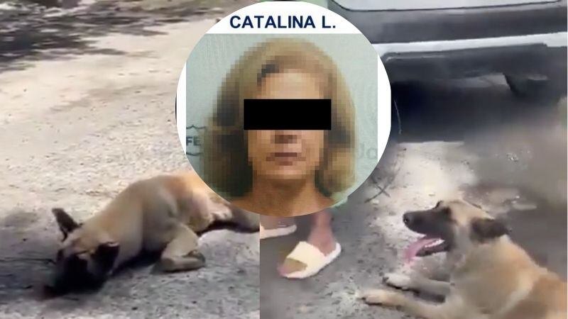 Encarcelan a mujer que arrastró a perro con su camioneta en Tlaquepaque