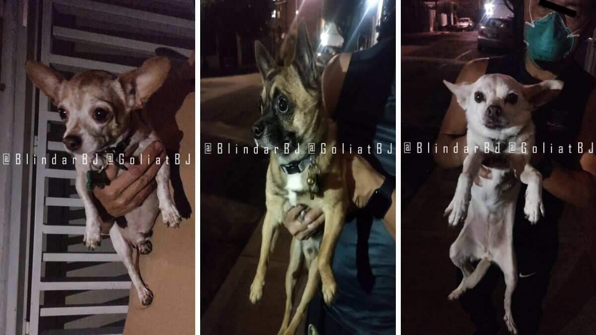 se encontraban asustados debido a la fuerte situación.