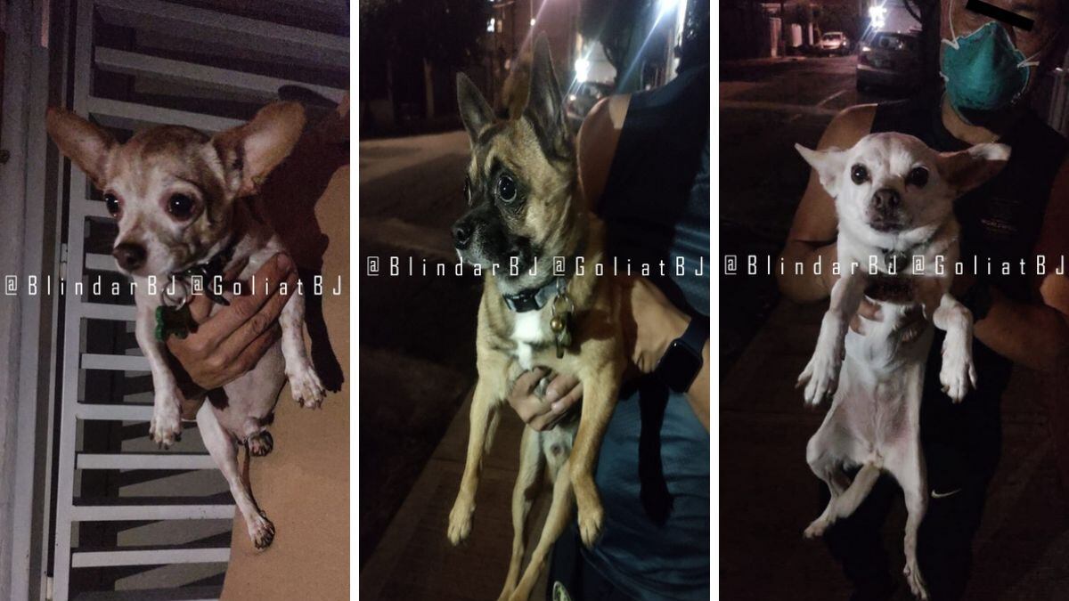 se encontraban asustados debido a la fuerte situación.