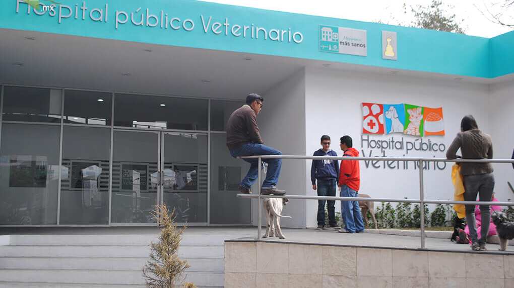 Clinica Veterinaria Iztapalapa