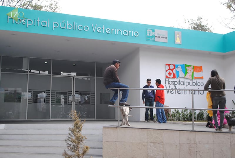 Clinica Veterinaria Iztapalapa