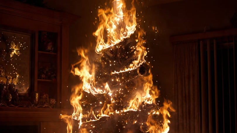 Los accidentes más comúnes son los incendios de los arbolitos.