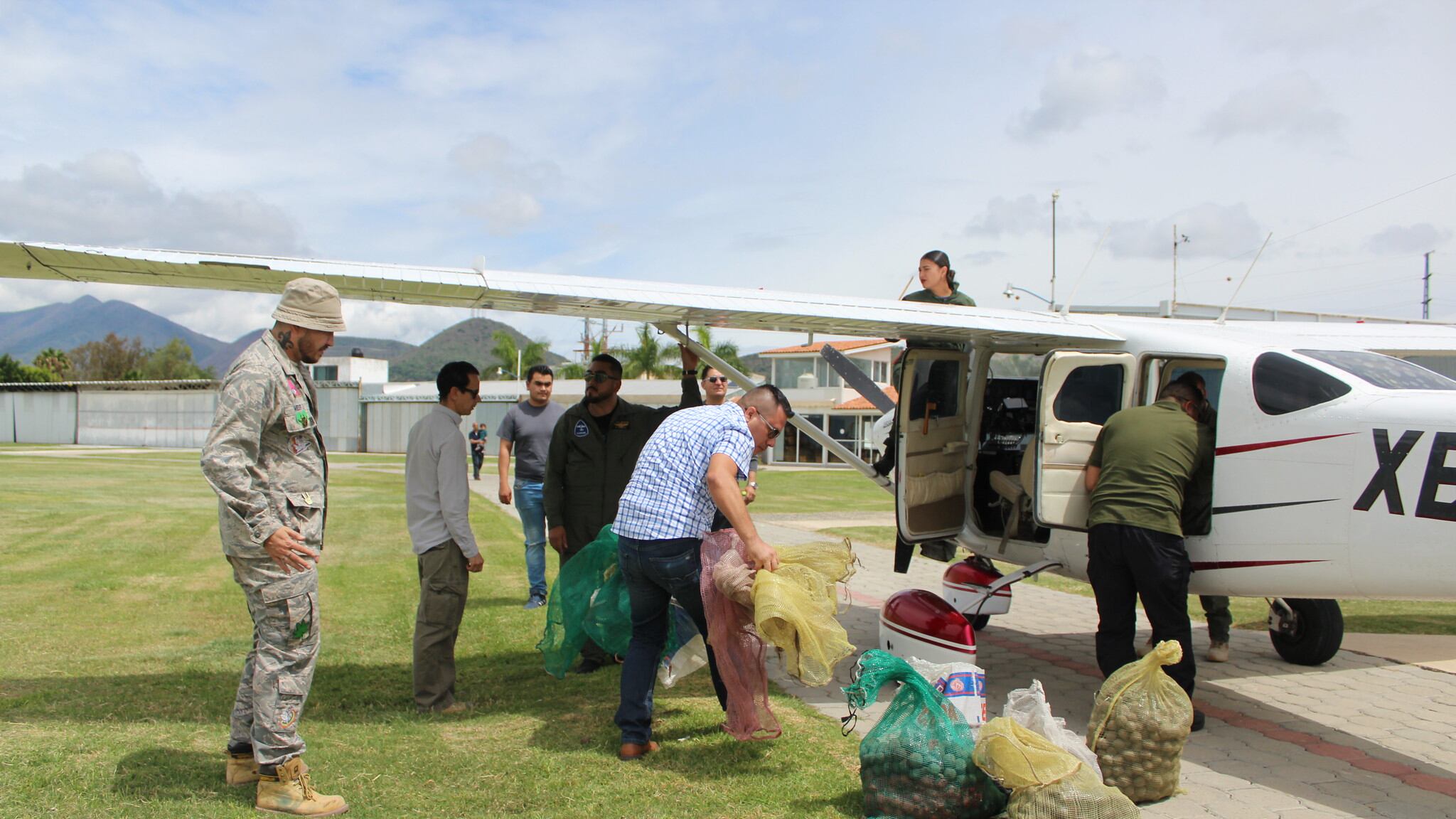 Se utiliza una avioneta para realizar la dispersión de las semillas en zonas de difícil acceso.