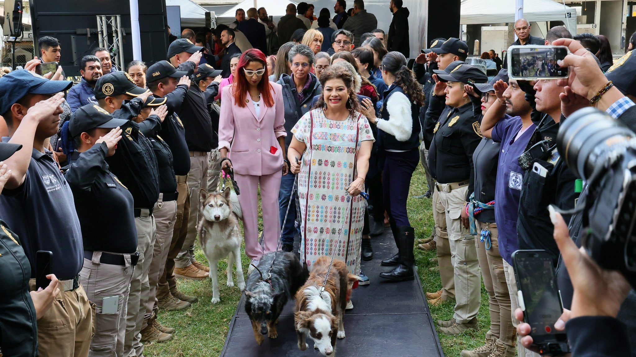 lomitos Brugada CDMX