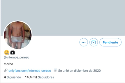 La cuenta de Only Fans que presuntamente pertenece a reos mexicanos