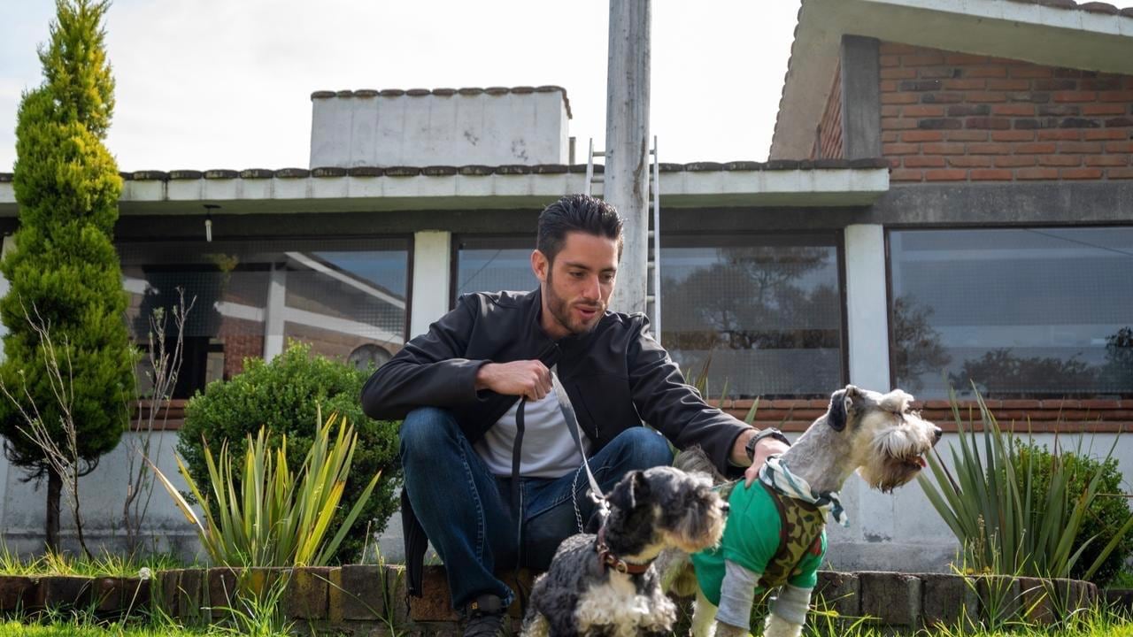 Aprueban penas de hasta 9 años de prisión por maltrato animal