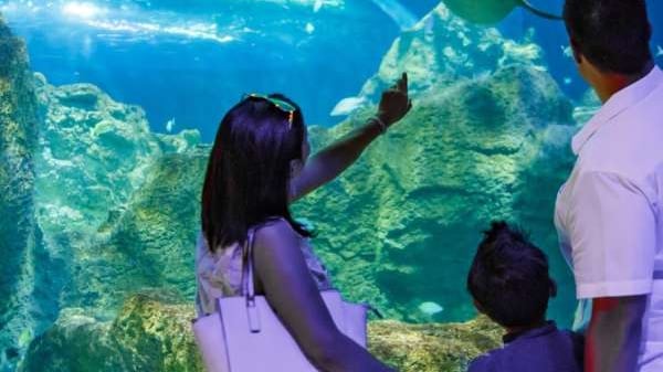 Acuario Michin CDMX