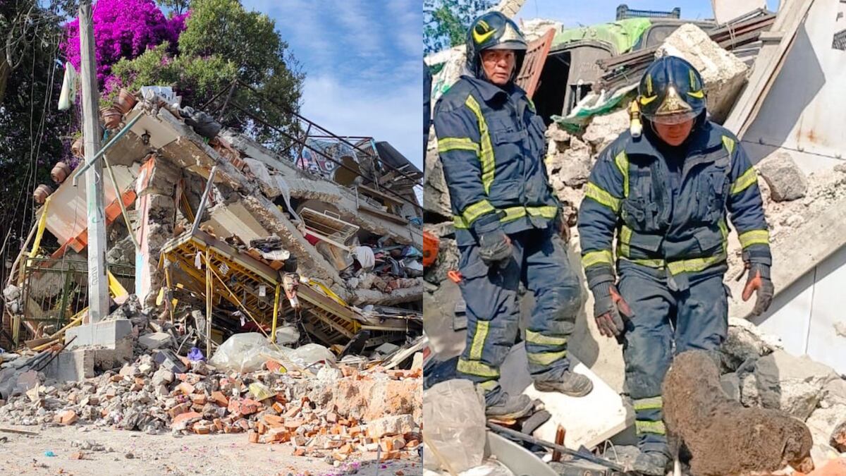 Los tres perritos fuero rescatados por Bomberos de la CDMX. (Especial)
