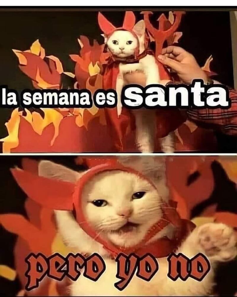 Los mejores memes de Semana Santa