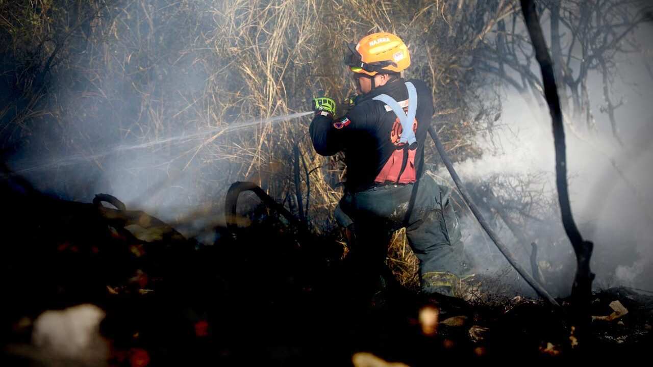 Prácticamente la mayor parte de estos incendios fueron en terrenos baldíos, aproximadamente un centenar.