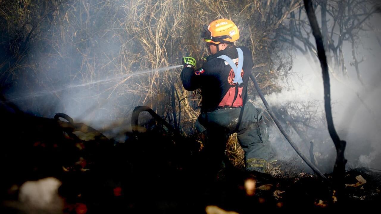 Prácticamente la mayor parte de estos incendios fueron en terrenos baldíos, aproximadamente un centenar.